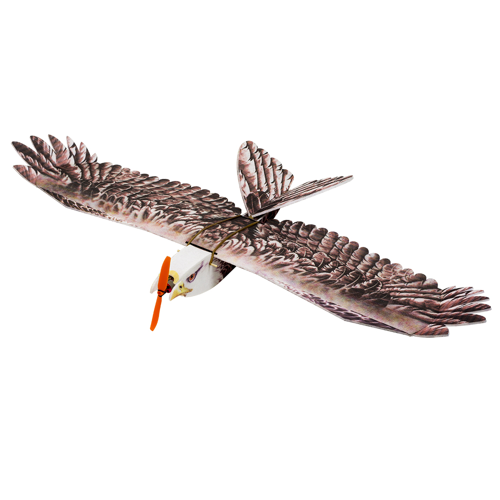 DW Hobby Eagle II EPP Airplane - đánh giá và giá Rc Hobby Experts