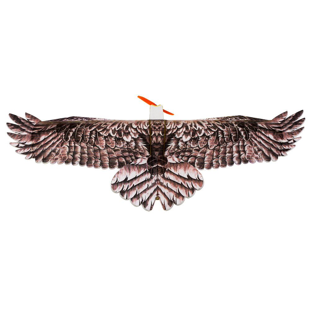 DW Hobby Eagle II EPP Airplane - đánh giá và giá Rc Hobby Experts