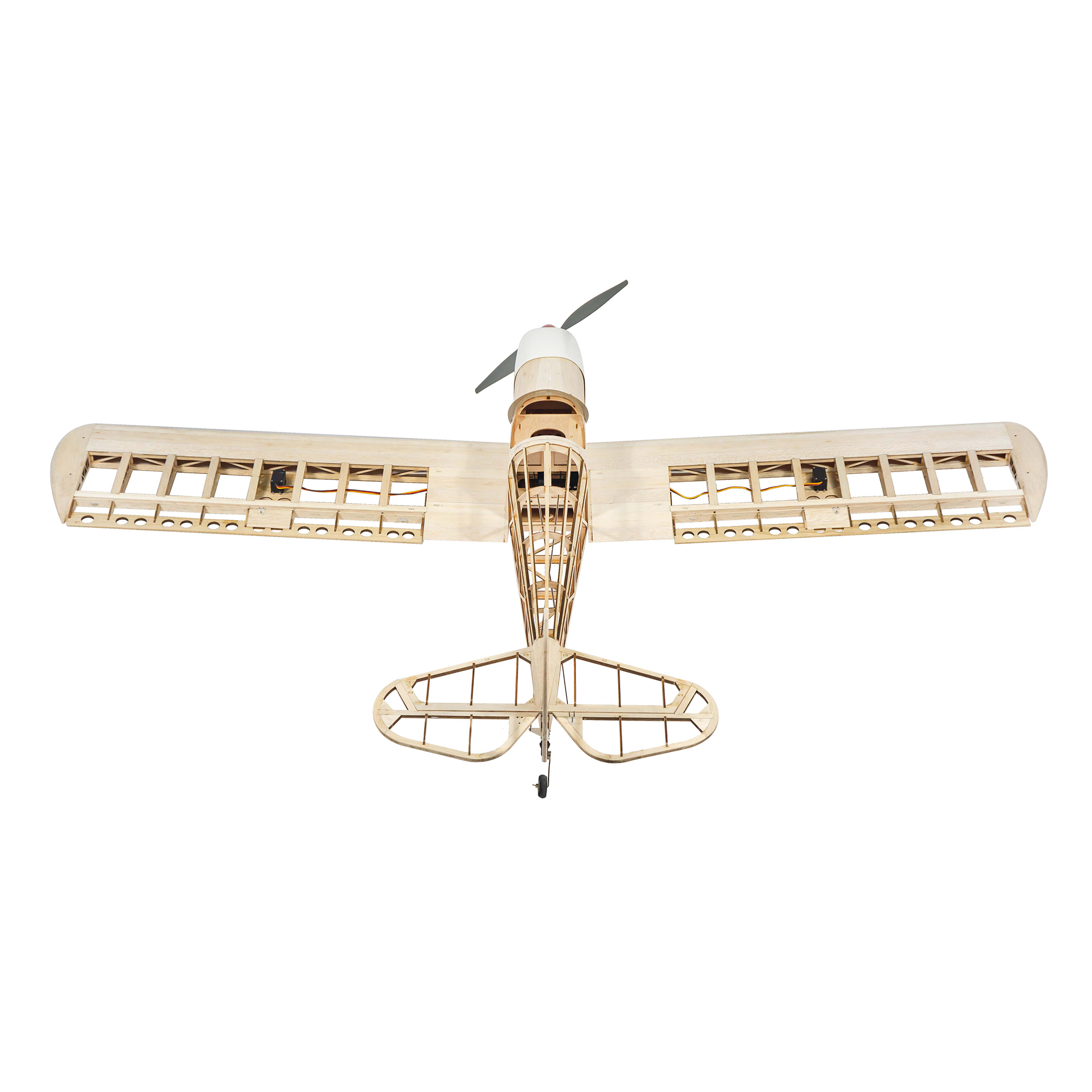 Dancing Wings Hobby 1.6M (63in - đánh giá và giá Rc Hobby Experts