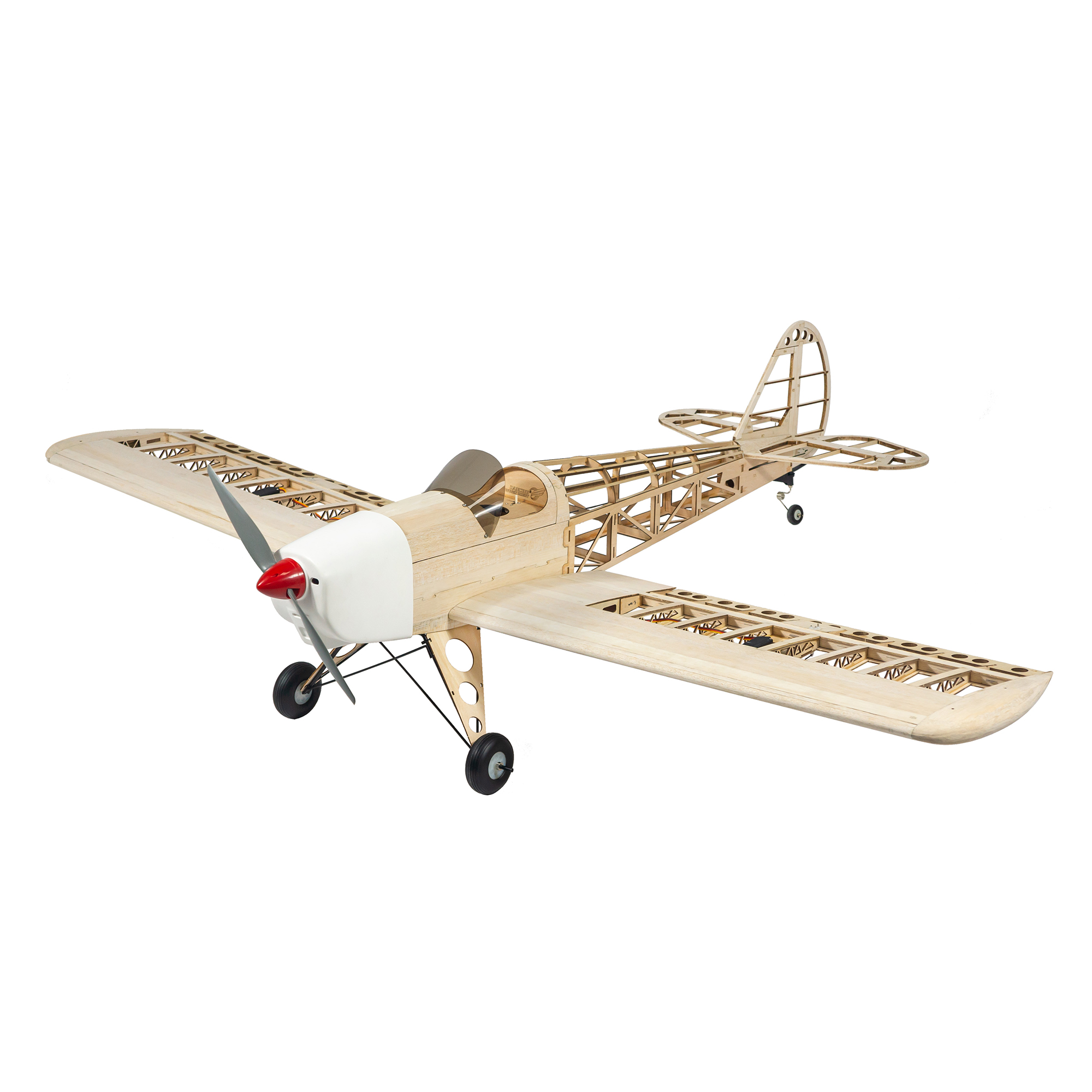 Dancing Wings Hobby 1.6M (63in - đánh giá và giá Rc Hobby Experts