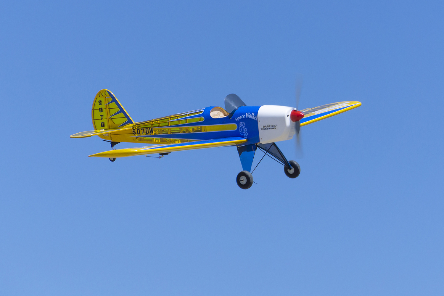 Dancing Wings Hobby 1.6M (63in - đánh giá và giá Rc Hobby Experts